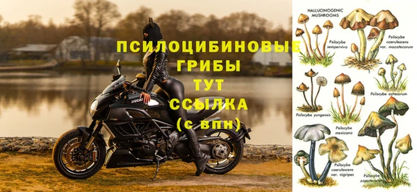 гашик Абинск