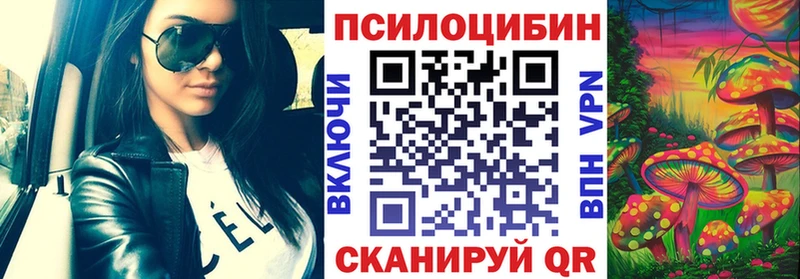 Галлюциногенные грибы Psilocybine cubensis Палласовка